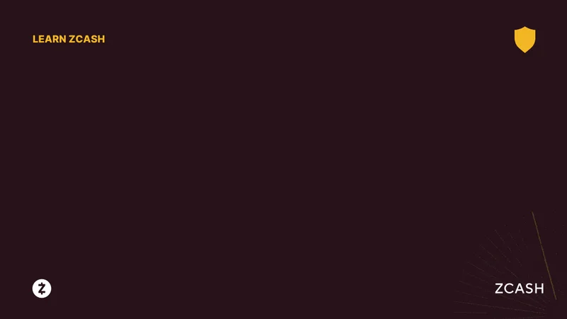 Zcash Thriving: Real Momentum vs. Bitcoin's Dip – What Reddit is Saying